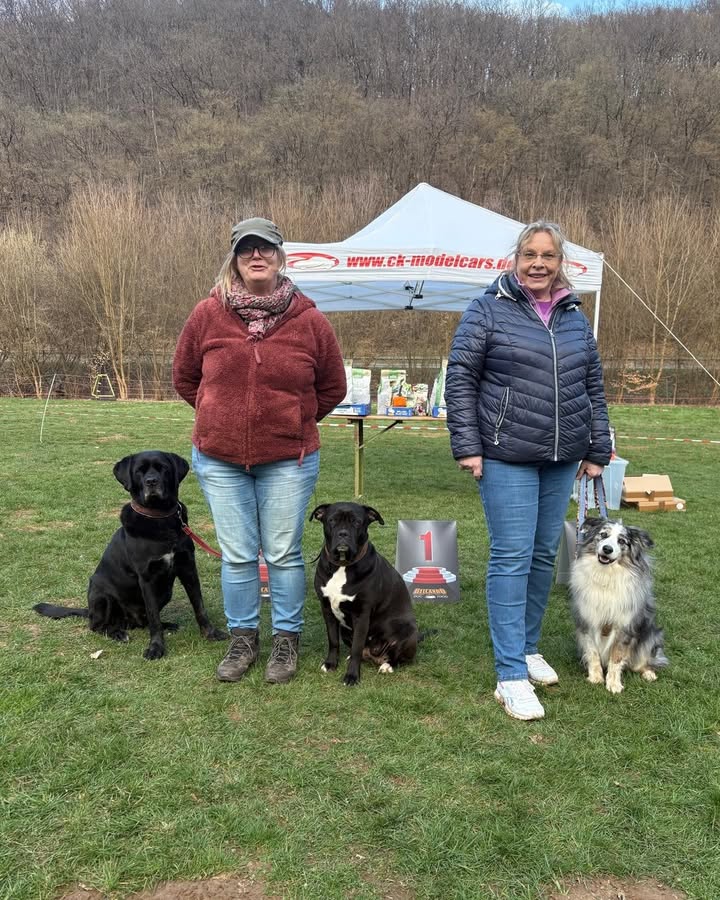 Boxer Klub OG Rodgau