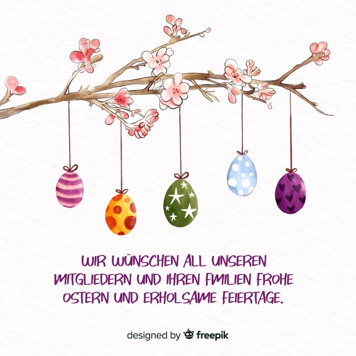 Boxer Klub OG Rodgau