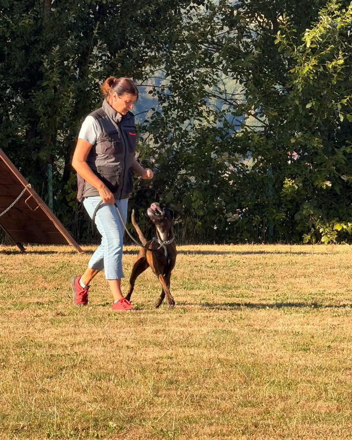 Boxer Klub OG Rodgau