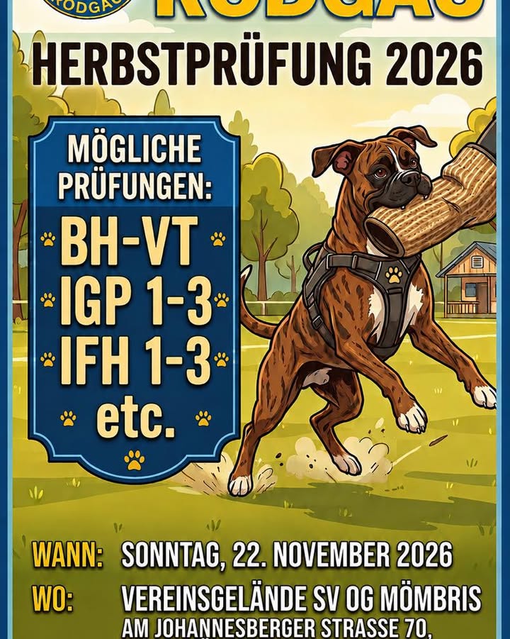 Boxer Klub OG Rodgau